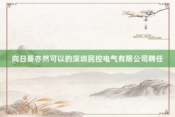 向日葵亦然可以的深圳民控电气有限公司聘任